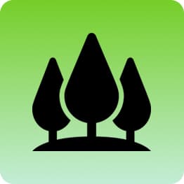 Lore AI