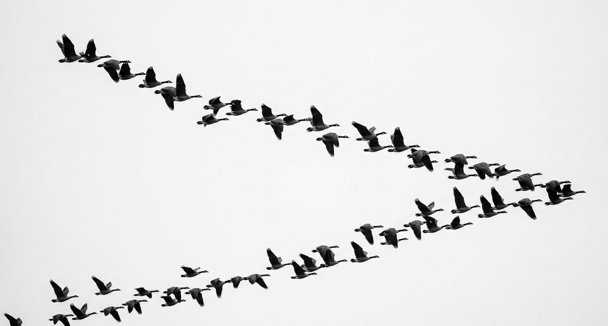 Architettura per Integrazione Agenti AI: la Base Strategica del Tuo Sito 2026